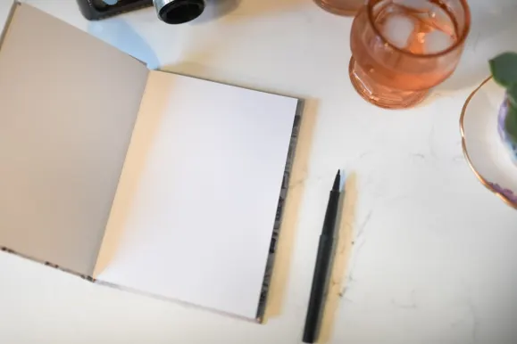 Μποββυ Καζίνο Υποστηριξη